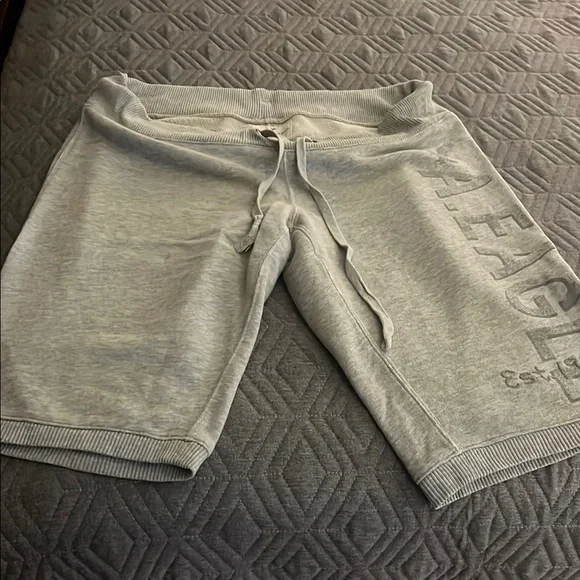 American Eagle Outfitters Heather Gray Shorts - Picture 1 of 6